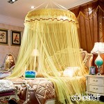 Dôme faux plafond filets moustiquaire  Ciel de lit léger pour l’anti-moustiques cour princesse-G Full-size - B07C68MBZK